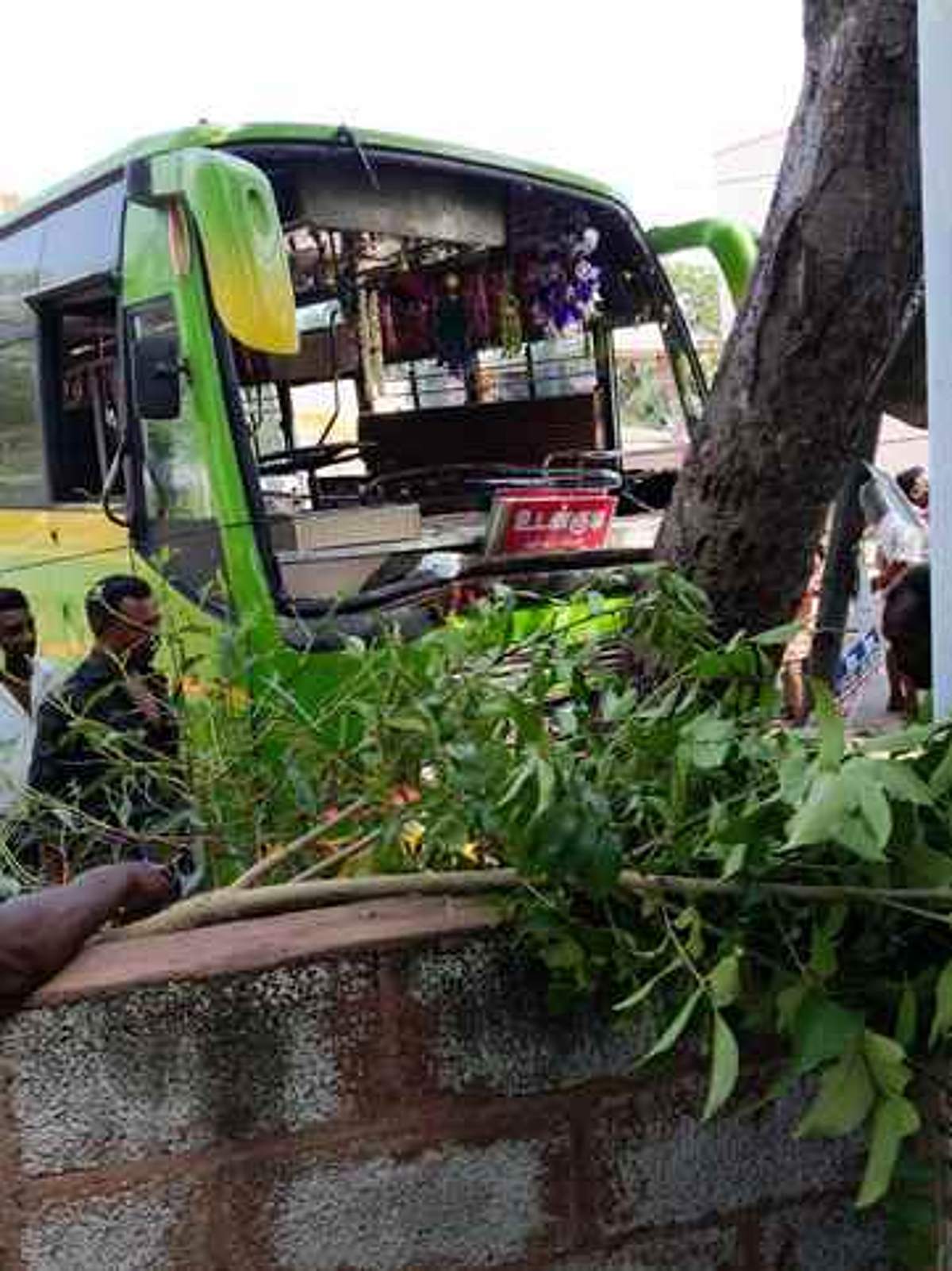 News image