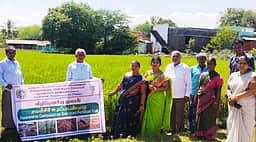 குறுவை நெல் சாகுபடியில் ஒருங்கிணைந்த
உர மேலாண்மை விழிப்புணா்வு