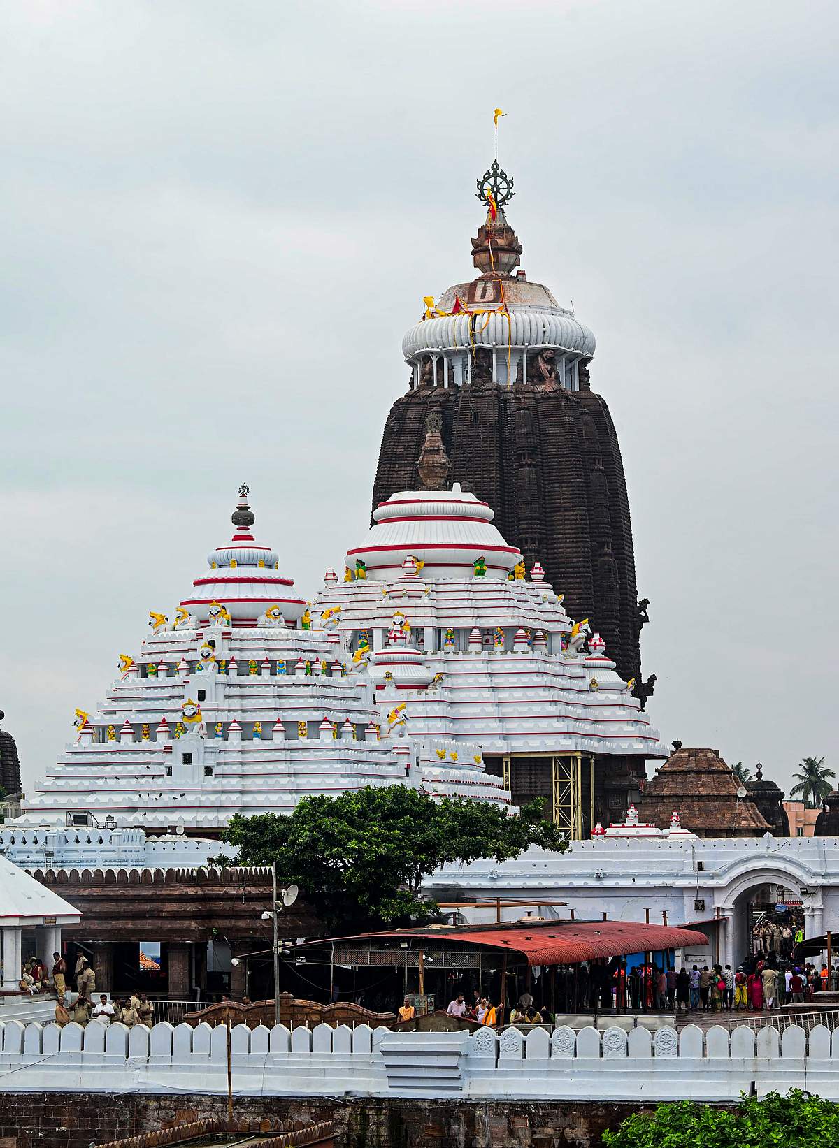கோலாகலமாகத் தொடங்கிய புரி ஜெகந்நாதர் ரத யாத்திரை!