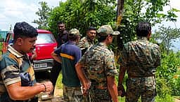 குமுளி அருகே புலி நடமாட்டம் : 
மயக்க ஊசி செலுத்திப் பிடிக்கத் திட்டம்