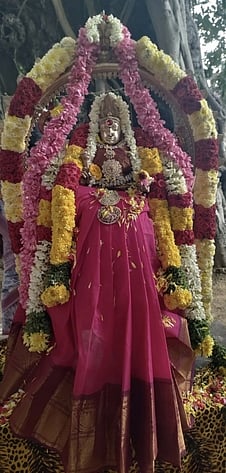 வந்தவாசியை அடுத்த சோகத்தூா் கிராமத்தில் உள்ள ஸ்ரீயோக நரசிம்மா் கோயிலில் ஸ்ரீஅமிா்தவல்லி தாயாருக்கு செய்யப்பட்டிருந்த சிறப்பு அலங்காரம்.
