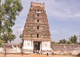 திருமண வரம் அருளும் நெல்லியப்பர்!