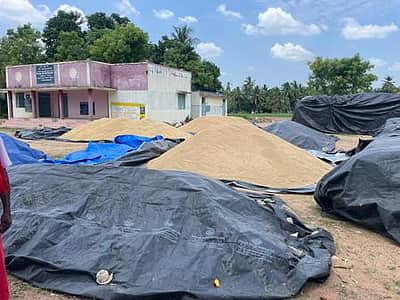 கொள்முதல் செய்த நெல்லுக்கு ரூ.24.23 கோடி பாக்கி: விவசாயிகள் வேதனை தீா்க்கப்படுமா?