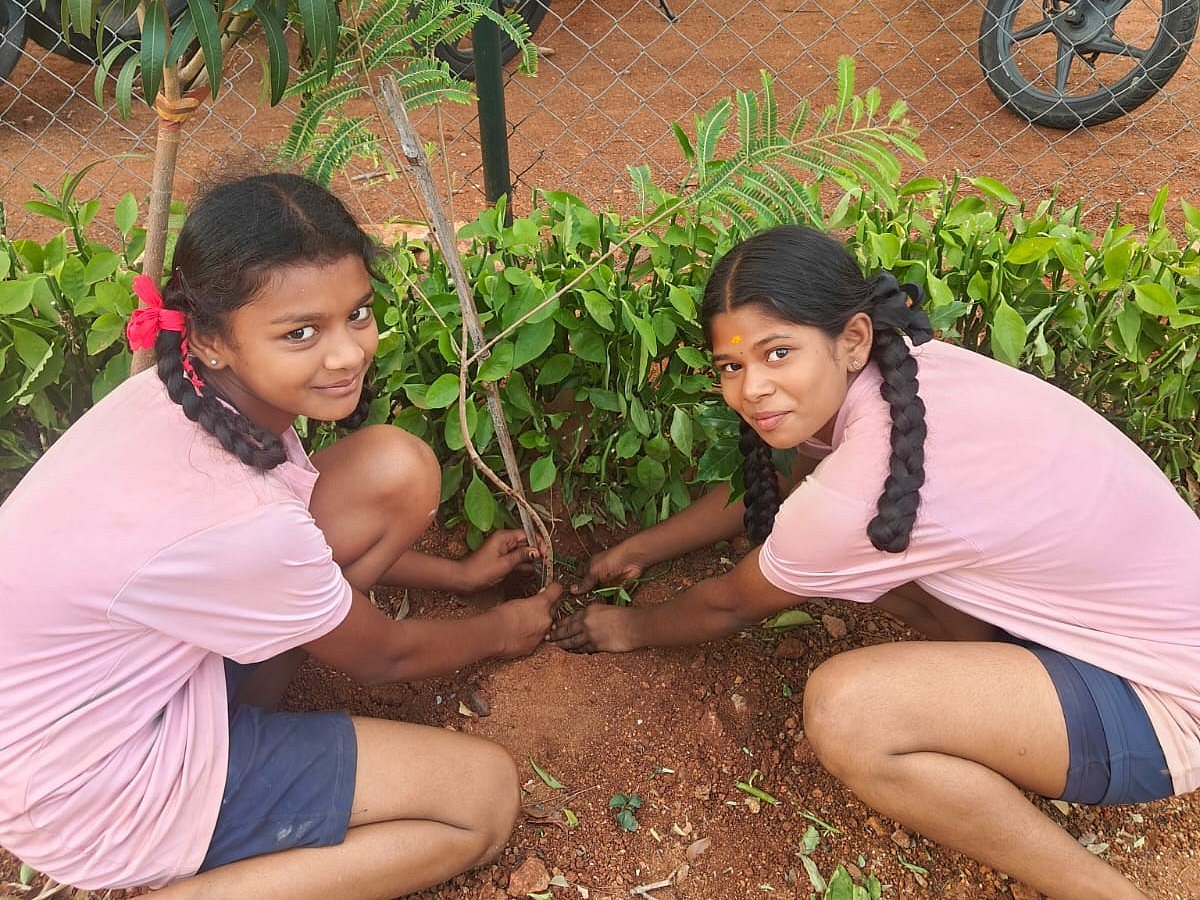 Story image