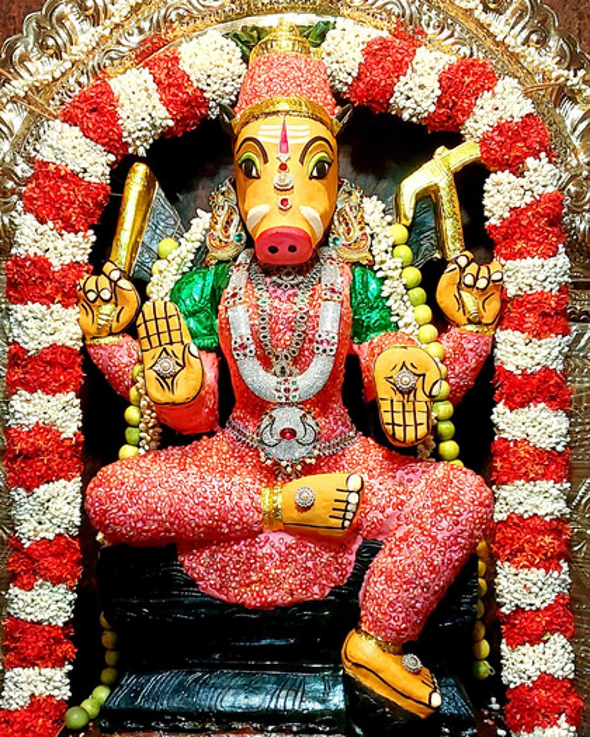News image