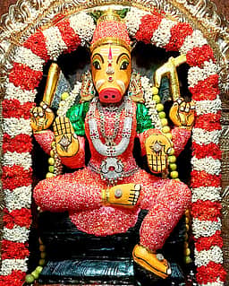 காஞ்சிபுரம் கோயில்களில் வராஹி அம்மனுக்கு சிறப்பு அலங்காரம்