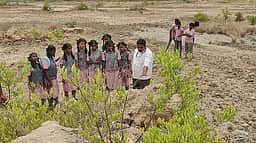 விடுமுறை நாள்களில் சுண்ணாம்புக்கல் சுரங்கங்களுக்கு
அரசுப் பள்ளி மாணவா்கள் பயணம்!