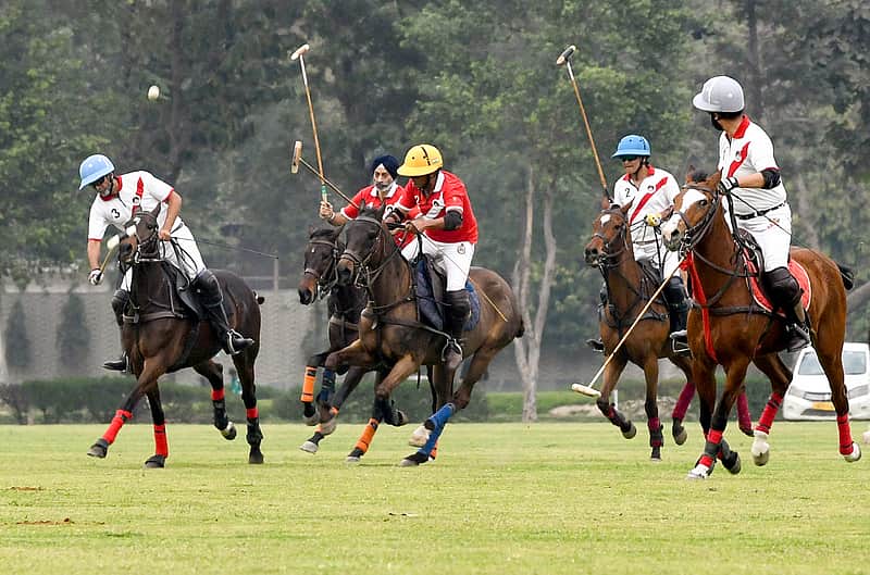 delhi race club