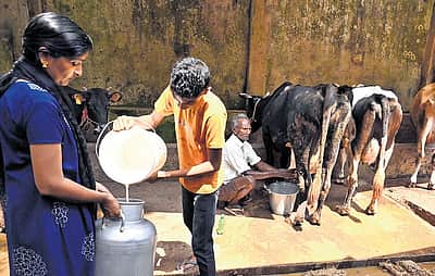 4 ஆண்டுகளாக கொள்முதல் விலையை உயா்த்தாத ஆவின்: 
பொருளாதார இழப்பால் பரிதவிக்கும் பால் உற்பத்தியாளா்கள்!