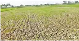 கருகும் பயிா்களுக்கு நிவாரணம் வழங்கக் கோரிக்கை