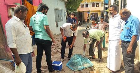 News image