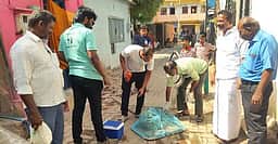 தெரு நாய்களுக்கு ரேபிஸ் தடுப்பூசி செலுத்தும் பணி தொடக்கம்