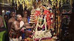 நெல்லையப்பா் கோயிலில் ஆடிப்பூர முளைக்கட்டு திருவிழா