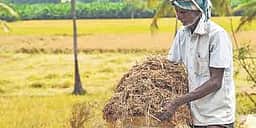 6 மாதங்களாகியும் கொள்முதல் நெல்லுக்கு பணம் வரவில்லை!