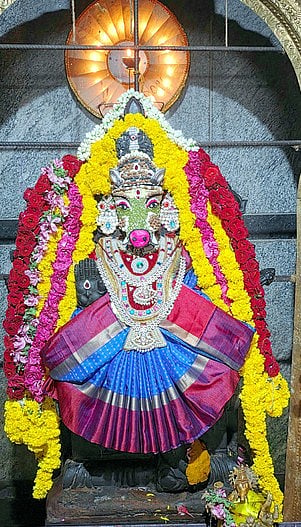 சிறப்பு அலங்காரத்தில் அருள்பாலித்த அன்னை மகா முத்து வாராஹி அம்மன்.