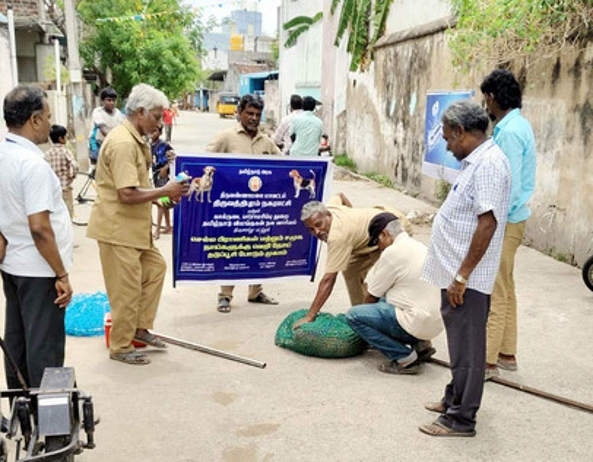 News image