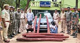 செம்மரக்கடத்தல்: தமிழகத்தை சோ்ந்த இருவா் கைது