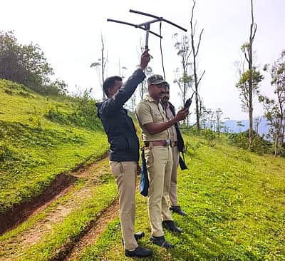 கால்நடைகள் வேட்டை: புலியை
பிடிக்க வனத் துறையினா் தீவிரம்