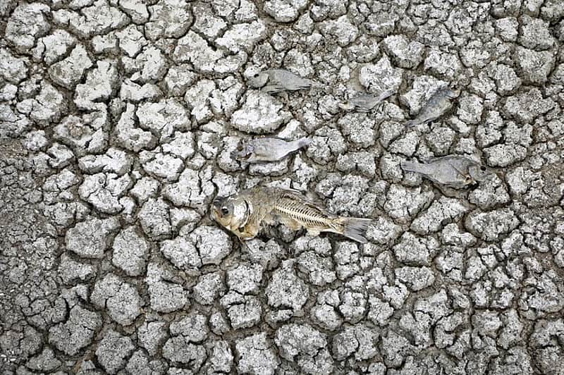 vellore...With temperatures hovering above 40°C in the region, the water level in Thangal Lake in Ranipet has receded, leaving parts of the lakebed pa