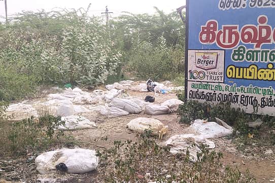 News image