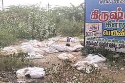 சாலையோரம் கொட்டப்படும் இறைச்சிக் கழிவுகள்: பள்ளி மாணவா்கள், பொதுமக்கள் பாதிப்பு