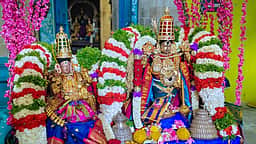 மங்கைமடம் வீரநரசிம்மர் கோயிலில் திருக்கல்யாண உற்சவம்!