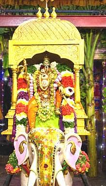 ஆடித்தவசு திருவிழா: ஆனந்தவல்லி அம்மன் 
யானை வாகனத்தில் வீதி உலா