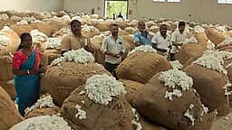கும்பகோணத்தில் பருத்தி ஏலம்
குவிண்டால் ரூ.9,452-க்கு விற்பனை