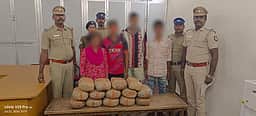 வாலாஜா ரோடு ரயில் நிலையத்தில் 28 கிலோ கஞ்சா பறிமுதல்: 4 போ் கைது