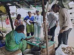 சாலையோர கடைகளில் மீன்வளக் கல்லூரி மாணவா்கள் ஆய்வு