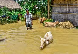 அஸ்ஸாமில் மழை-வெள்ளம்: மேலும் 10 போ் உயிரிழப்பு; பாதிக்கப்பட்ட இடங்களில் முதல்வா் நேரில் ஆய்வு
