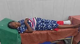 மூதாட்டி கால் விரலை கடித்த எலி! திருச்சி அரசு மருத்துவமனை விளக்கத்தால் அதிர்ச்சி
