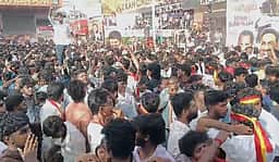 நெல்லையில் களைகட்டிய ஜன நாயகன்! ரசிகர்கள் கொண்டாட்டம்!!