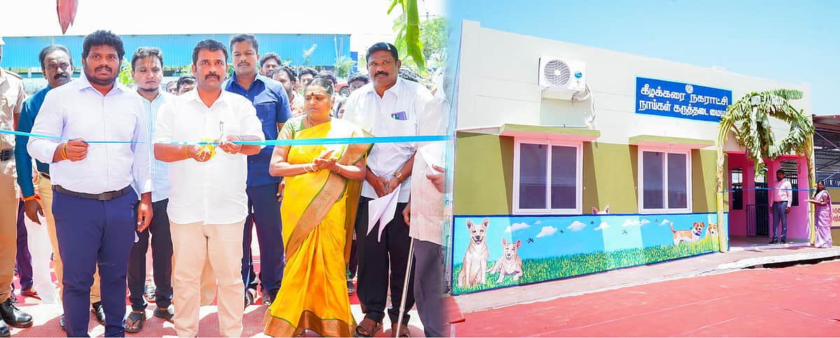 News image