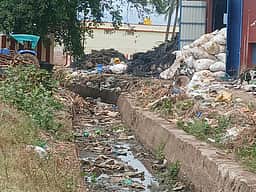 சின்னமனூா் பாசனக் கால்வாயில் நெகிழிக் கழிவுகள் ஆக்கிரமிப்பை அகற்ற வலியுறுத்தல்