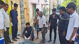 தெரு நாய்களுக்கு ரேபிஸ் தடுப்பூசி