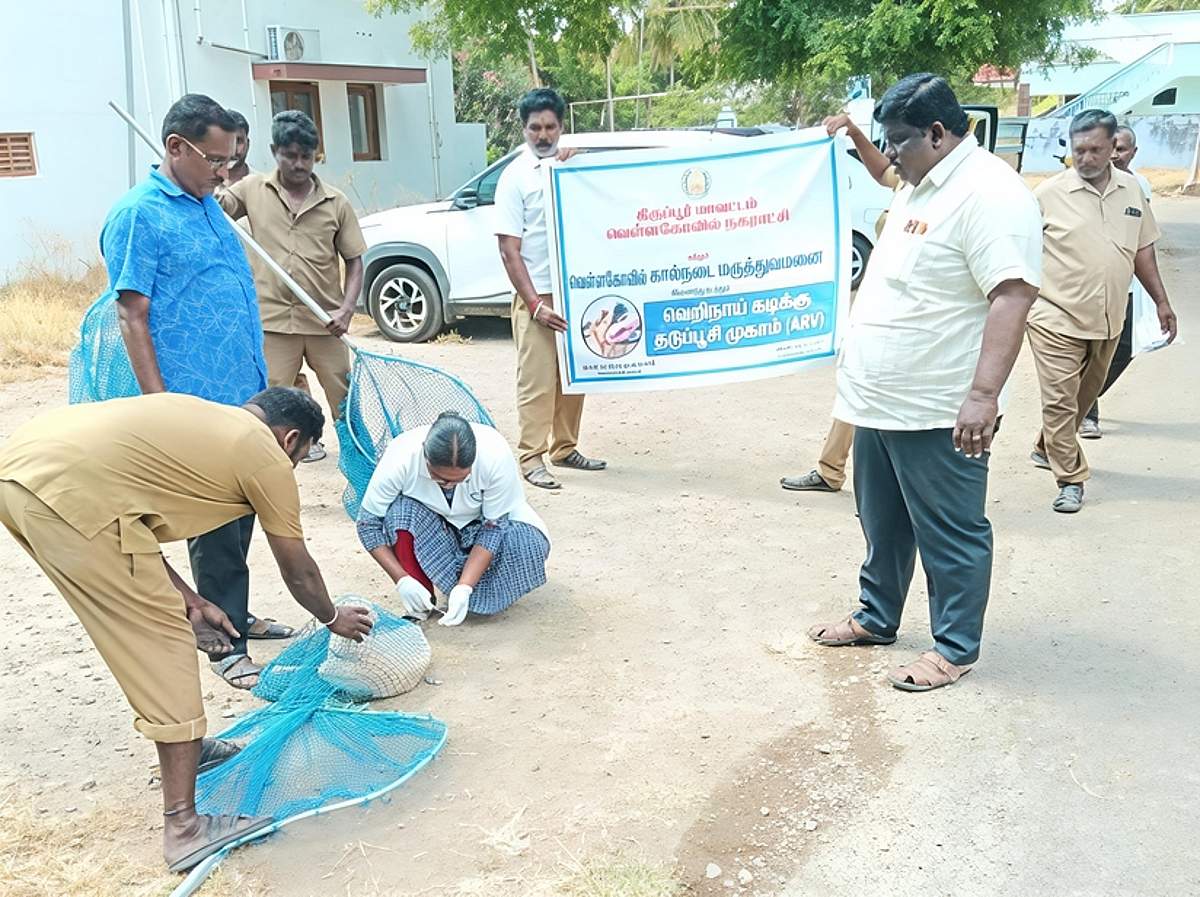 News image