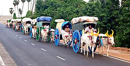 குல தெய்வ வழிபாட்டுக்காக
மாட்டு வண்டி பயணம்