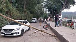 கொடைக்கானலில் மரம் விழுந்து
காா் சேதம்: முதியவா் காயம்