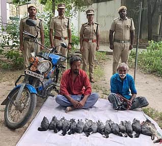 News image