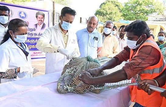 News image