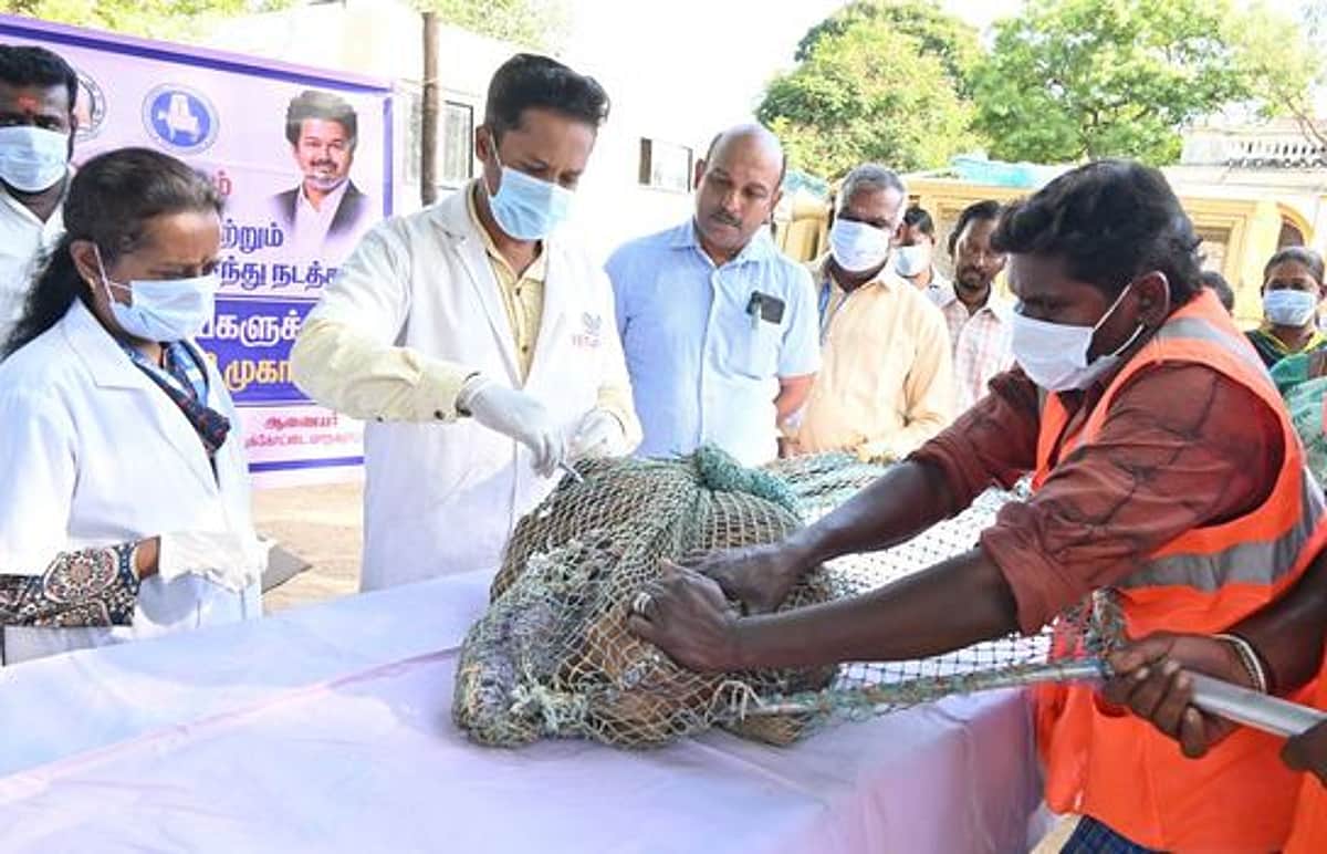 News image