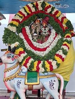 வாணியம்பாடி கோயில்களில் பிரதோஷ வழிபாடு