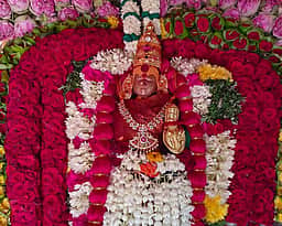 சங்கரன்கோவில் ஆடித்தவசுத் திருவிழா தேரோட்டம்: பக்தா்கள் குவிந்தனா்
