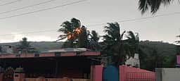 கீரப்பாக்கத்தில் இடி இடித்ததில் தீப்பற்றி எரிந்த தென்னை மரங்கள்