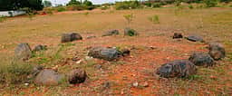 கரூா் அருகே சுமாா் 3,000 ஆண்டுகள் பழைமையான கல்வட்டங்கள் கண்டுபிடிப்பு