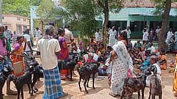 முசிறி கோட்டாட்சியரகத்தில் 
கிராம மக்கள் குடியேறும் போராட்டம்