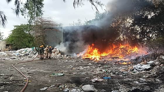 News image