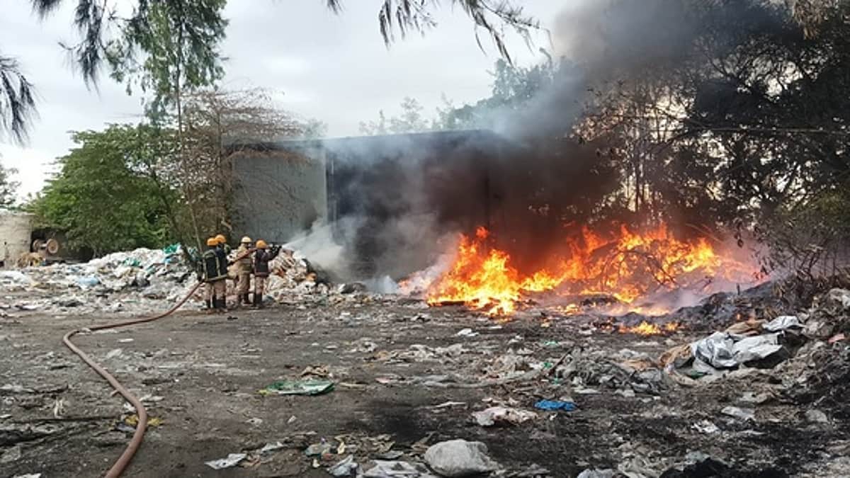News image