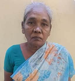 புகையிலைப் பொருள் விற்பனை: பெண் கைது